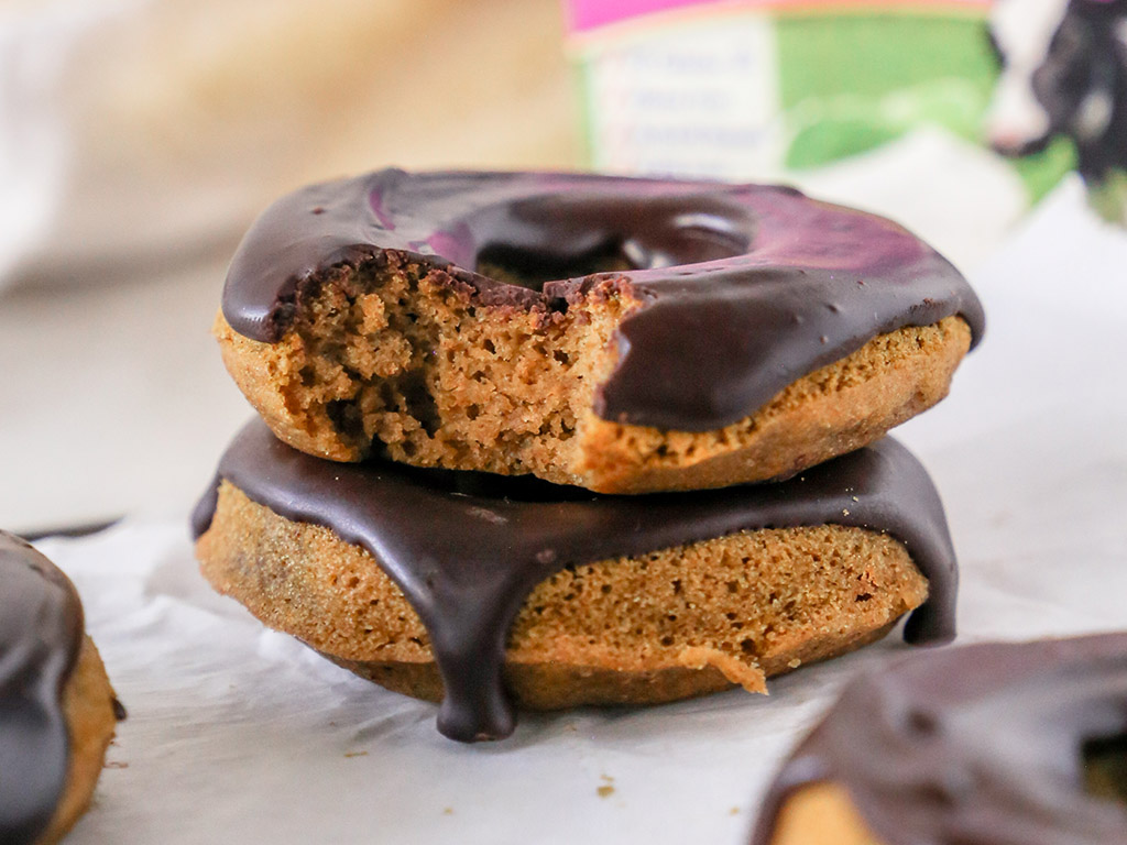 Pumpkin Cake Donuts with Chocolate Ganache