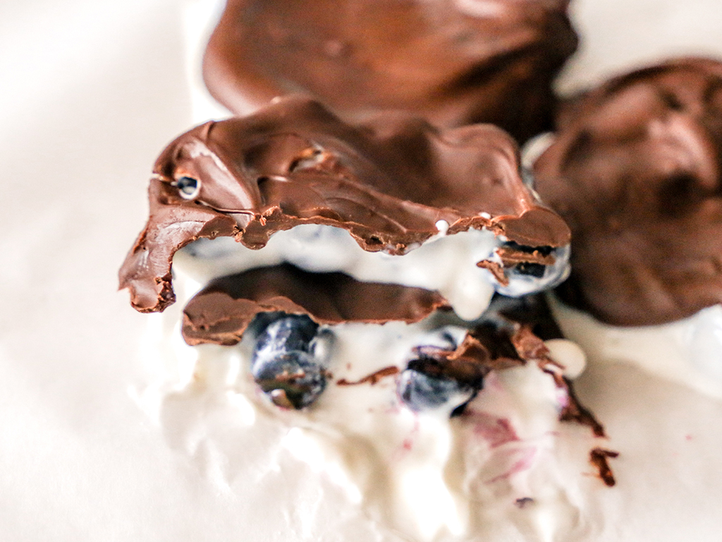 Blueberry Chocolate Yogurt Bites